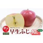 ふるさと納税 りんご 山形県 大江町 《先行受付》 訳あり 早生ふじ約10kg（28〜46玉） 2026年9月中旬〜発送予定 大江町産・山形りんご・りんご専科 清野 015-0…