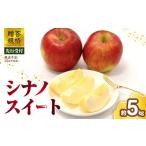 ふるさと納税 りんご 山形県 大江町 《先行受付》 贈答規格 シナノスイート約5kg（特秀〜秀14〜20玉） 2026年10月中旬〜発送予定 大江町産・山形りんご・りん…