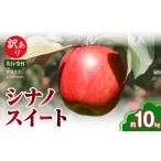 ふるさと納税 りんご 山形県 大江町 《先行受付》訳あり シナノスイート約10kg（28〜46玉） 2026年10月中旬〜発送予定 大江町産・山形りんご・りんご専科 清野…