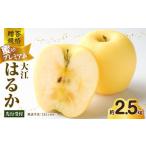 ふるさと納税 りんご 山形県 大江町 《先行受付》贈答規格 蜜入りプレミアム大江はるか約2.5kg 特秀〜秀 2025年12月上旬〜発送予定 大江町産・山形りんご・り…