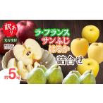 ふるさと納税 りんご 山形県 大江町 《先行受付》訳あり「ラフランス」「サンふじ」「はるか」約5kg詰合せ 2026年12月上旬〜発送予定 大江町産・山形りんご・…