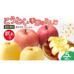 ふるさと納税 りんご 山形県 大江町 《先行受付》訳ありこうとく＆季節のりんご詰合せ約5kg 2種以上 2026年11月上旬〜発送予定 大江町産・山形りんご・りんご…