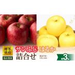 ふるさと納税 りんご 山形県 大江町 《先行受付》贈答規格「サンふじ」「はるか」約3kg詰合せ（特秀〜秀） 2026年12月上旬〜発送予定 大江町産・山形りんご・…