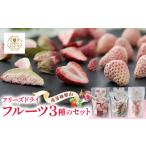 乾物 きざえむファームの南房総館山フリーズドライフルーツ