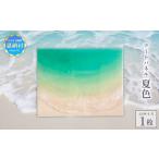 インテリア 海レジンアートうみねこ 恩納Blue