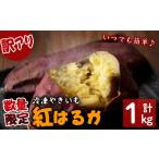 野菜類 サツマイモ 訳あり 産熟成紅はるかの冷凍焼き芋 計1…