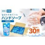 ショッピングハンドソープ ふるさと納税 岐阜県 本巣市 除菌ハンドソープ　300ml×30個 詰め替え用