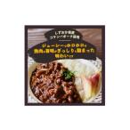 加工品等 レトルト 富士山麓ポークキーマカレー