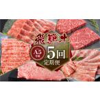 牛肉 セット A5等級 飛騨牛5回定期便 トキノ屋食品