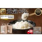 ふるさと納税 米 福岡県 大川市  令和7年度新米 先行予約受付 数量限定 白米(特別栽培農産物)元気つくし 5kg×2袋 (計10kg)