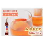 ワイン みぶおとめ 500mL