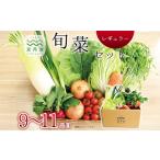 京丹波 旬菜セット レギュラー 9~11品目