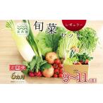 セット 詰合せ 6回定期便 京丹波 旬菜セット
