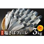 ふるさと納税 旬の鮮魚等 宮城県 石巻市 さば 訳あり 国産さば 塩さば さばフィレ 塩サバ 3kg 冷凍 サバ 魚 切身 フィレ 鯖 わけあり 不揃い 急速冷凍 新鮮 魚…
