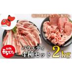 豚肉 ステーキ ブランド豚 柔らかジューシーな肉質