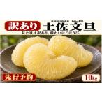 土佐文旦 訳あり 10kg