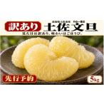 土佐文旦 訳あり 5kg
