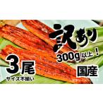 ショッピングふるさと納税 訳あり 不揃い ふるさと納税 茨城県 境町 K1804 〈2024年8月発送〉【訳あり】さかい河岸水産の国産うなぎ３尾 300g以上！ ※サイズ不揃い 2024年08月発送