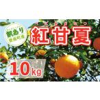 ふるさと納税 みかん・柑橘類 愛媛県 愛南町 数量限定 先行予約 訳あり 紅甘夏 10kg 7000円 みかん mikan 蜜柑 ミカン わけあり べにあまなつ あまなつ 夏みか…