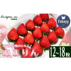 ふるさと納税 いちご 埼玉県 深谷市 埼玉県産　あまりん　12〜18粒　 11218-0689