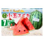 fu.... налог арбуз Kyoto (столичный округ) столица . после город предшествующий предварительный заказ | ограниченное количество 100.... арбуз превосходящий товар 1 шар ввод ( house культивирование )(2026 год 6 месяц средний . из отправка ) FR00008