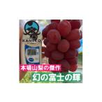 ぶどう 2027年発送先行受付 早い者勝ち