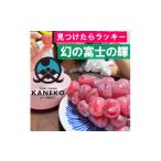 ぶどう 2027年発送先行受付 見つけたらラッキー