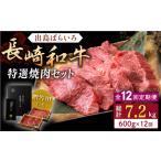 牛肉 焼肉 バーベキュー 全12回定期便 長崎和牛