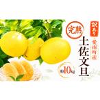みかん 柑橘類 100箱
