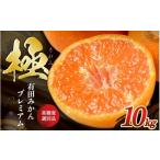 ふるさと納税 果物類 みかん 和歌山県 紀美野町 ＼光センサー選別／極 有田みかんプレミアム 10kg 選りすぐりの上位20％をお届け 2S〜Lサイズ 有機質肥料100% …