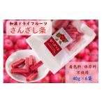 菓子 和漢ドライフルーツ さんざし条 40g×6袋