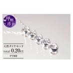 アクセサリー ネックレス 天然ダイヤ 1.0ct