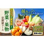 セット 詰合せ 野菜定期便 3回定期便 野菜 果物定期便コース 詰め合わせ