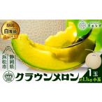 ふるさと納税 メロン メロン青肉 静岡県 浜松市 クラウンメロン 白等級 1.1kg前後 1玉入り 果物類 メロン青肉 No.5786-5517