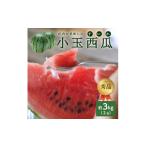 fu.... налог арбуз Yamagata префектура sake рисовое поле город . внутри прекрасный тест .. маленький шар ... превосходящий товар примерно 3kg(2 шар входить ) SA2949