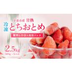 ショッピングふるさと納税 いちご ふるさと納税 茨城県 下妻市 【訳あり】 冷凍いちご 2.5kg (500g x 5) 甘熟 完熟【凍眠冷凍】下妻市内のいちご生産者Ben’s Berry 【いちご イチゴ 苺 とちお…