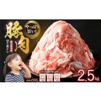 ふるさと納税 豚肉 鹿児島県 長島町 《訳あり》鹿児島県産 豚肉 切り落とし (計2.5kg・500g×5P) スターゼン starzen-1362