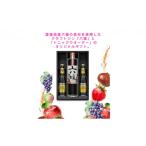 焼酎 道後ジン 六媛 トニックセット G6-500