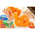 ふるさと納税 みかん・柑橘類 愛媛県 東温市 露地せとか　赤秀・青秀　約5kg No.5303-0213