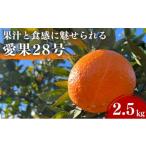 ふるさと納税 みかん・柑橘類 愛媛県 東温市 愛果28号 約2.5kg 東温市産 サイズお任せ 「 紅まどんな 」の同一品種（品種名： 愛媛果試28号 ） 今が旬 農園直…