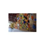 ふるさと納税 クライミングパーク神怡舘利用券(大人60歳未満)×11枚セット【1205061】