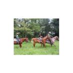 イベントやチケット等 乗馬体験と馬とのふれあいコース 1名