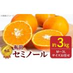 みかん 柑橘類 2027年 秀品 セミノール