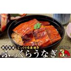 ふるさと納税 うなぎ 鹿児島県 大崎町 うなぎ 蒲焼 160g×3尾 鹿児島産 地下水で育てた絶品鰻