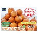 ふるさと納税 野菜類 玉ねぎ 北海道 北見市 L玉隔月定期便(10月・12月・2月) JAきたみらいから直送する新鮮玉ねぎ 10kg(L玉)×3回 ( 野菜 定期便 玉葱 たまね…