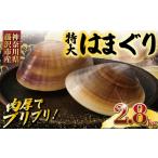 しじみ あさり 蛤 はまぐり 大粒 約 2.8kg