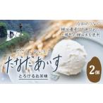 菓子 アイス たなだあいす 2個
