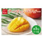 ふるさと納税 マンゴー 栃木県 益子町 先行予約 数量限定 益恋 マンゴー 約1kg(2〜3玉)| 7月中旬より順次発送 マンゴー フルーツ 果物 新鮮 旬 益子町産 (C…