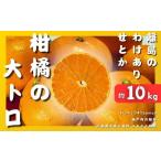 ふるさと納税 広島県 大崎上島町 [3月発送] 離島のわけありせとか約10kg 糖度14度 広島県 大崎上島町 柑橘【訳あり】　