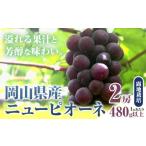 ぶどう 256. ニューピオーネ 2房 480g以上